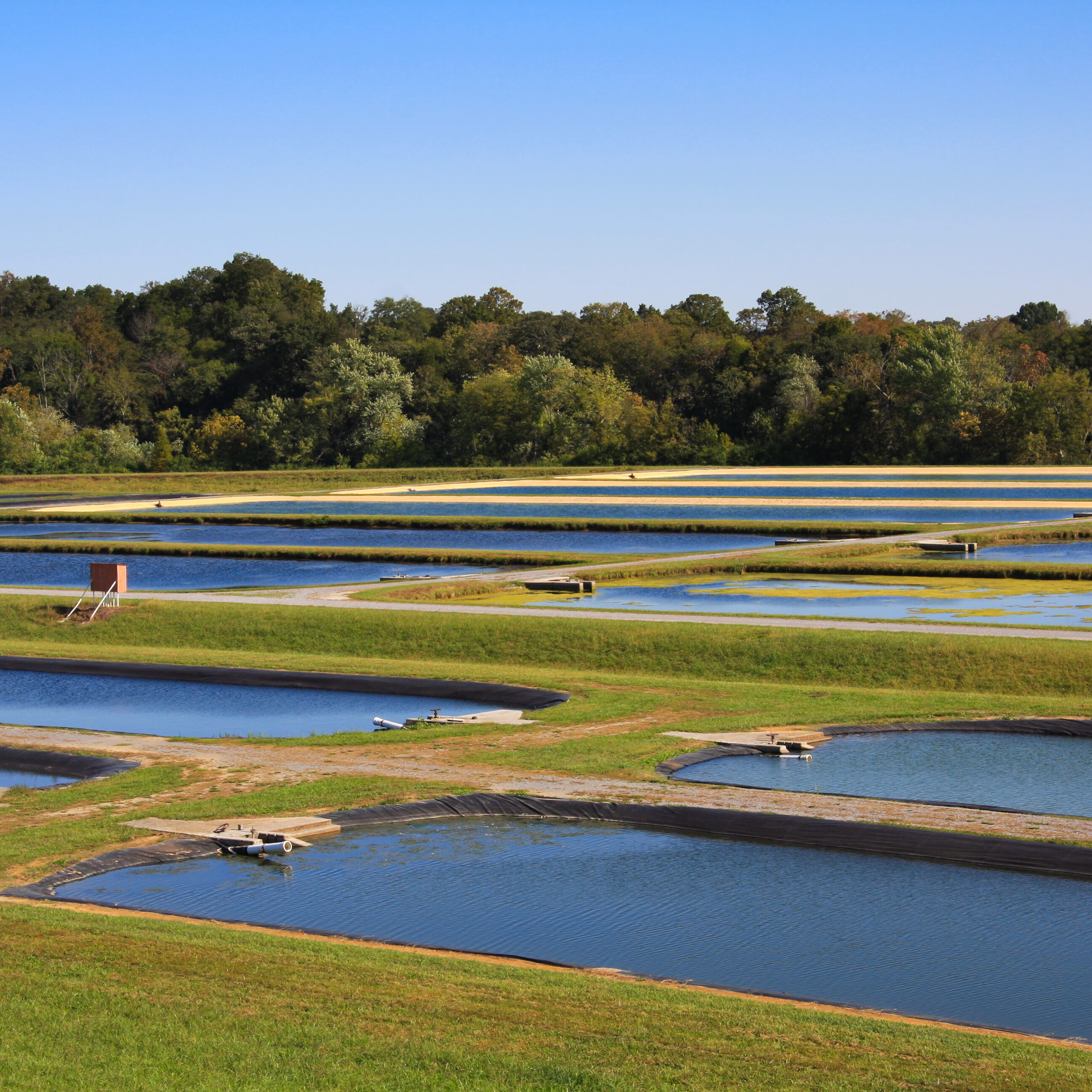 Eagle Bend Fish Hatchery, Clinton, Tennessee