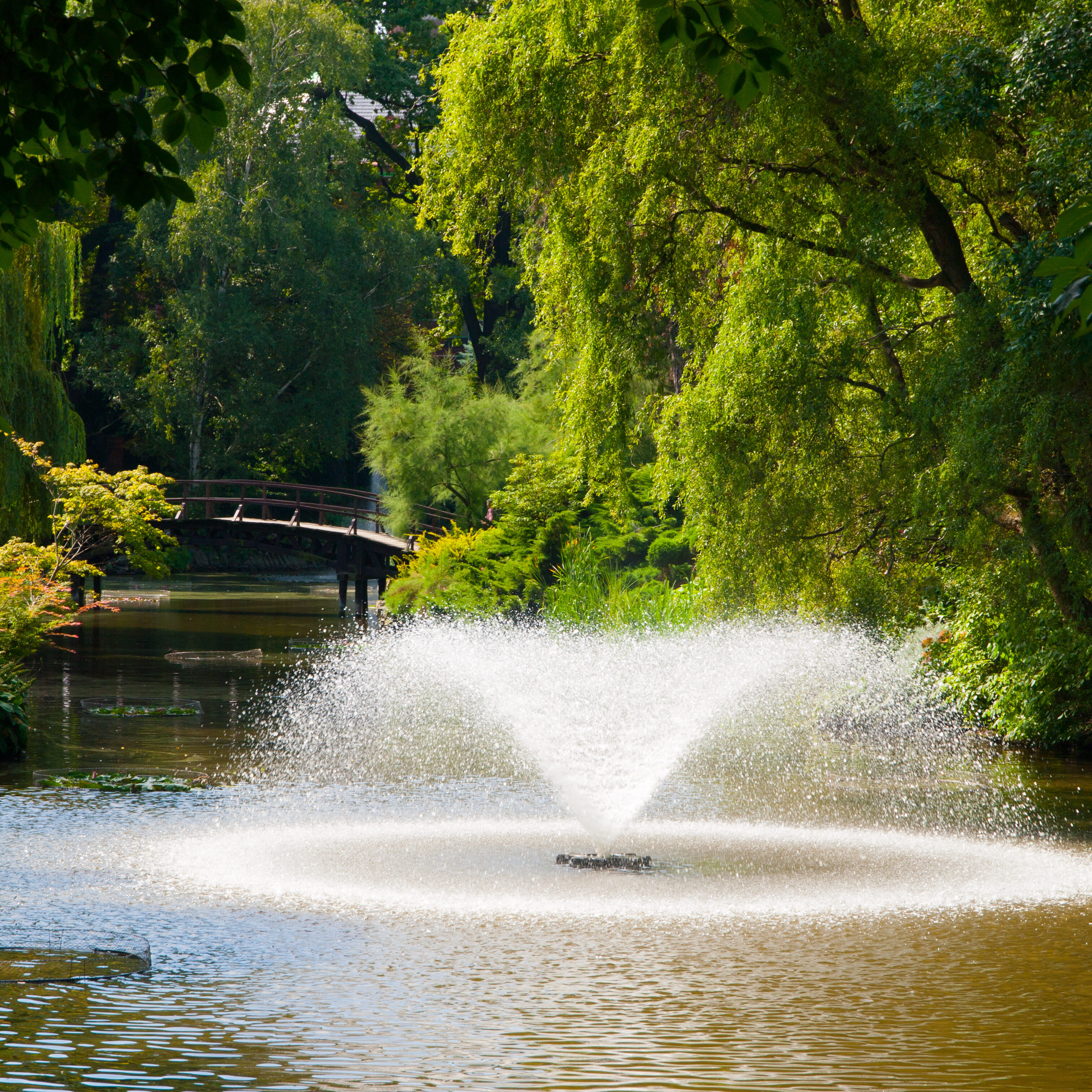 Lake fountain and park bridge in the garden